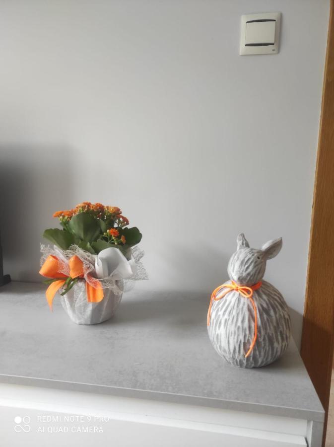 Apartamento En Malpica Costa Da Morte Luaran gambar